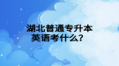 湖北普通專升本英語(yǔ)考什么？