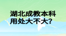 湖北成教本科用處大不大？