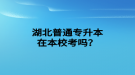 湖北普通專升本在本?？紗?？