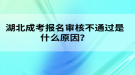 湖北成考報(bào)名審核不通過(guò)是什么原因？