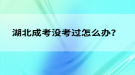 湖北成考沒(méi)考過(guò)怎么辦？