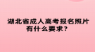 湖北省成人高考報(bào)名照片有什么要求？