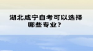 湖北咸寧自考可以選擇哪些專業(yè)？