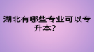 湖北有哪些專業(yè)可以專升本？