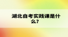 湖北自考實(shí)踐課是什么？