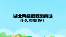 湖北網(wǎng)絡遠程教育選什么專業(yè)好？