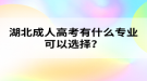 湖北成人高考有什么專業(yè)可以選擇？