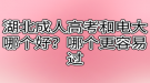 湖北成人高考和電大哪個好？哪個更容易過