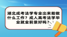 湖北成考法學專業(yè)出來能做什么工作？成人高考法學畢業(yè)就業(yè)前景好嗎？