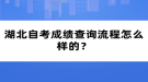 湖北自考成績(jī)查詢流程怎么樣的？