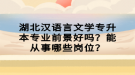 湖北漢語言文學(xué)專升本專業(yè)前景好嗎？能從事哪些崗位？