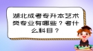 湖北成考專升本藝術(shù)類專業(yè)有哪些？考什么科目？