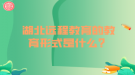 湖北遠(yuǎn)程教育的教育形式是什么？