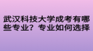 武漢科技大學成考有哪些專業(yè)？專業(yè)如何選擇