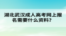 湖北武漢成人高考網(wǎng)上報名需要什么資料？