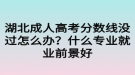 湖北成人高考分?jǐn)?shù)線沒過怎么辦？什么專業(yè)就業(yè)前景好