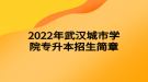 2022年武漢城市學(xué)院專升本招生簡章