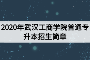 2020年武漢工商學院普通專升本招生簡章