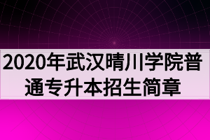 2020年武漢晴川學(xué)院普通專升本招生簡(jiǎn)章