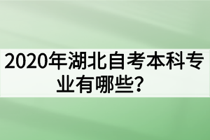 2020年湖北自考本科專業(yè)有哪些？哪些專業(yè)的就業(yè)前景好