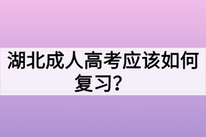 湖北成人高考應該如何復習？