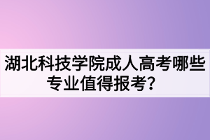 湖北科技學院成人高考哪些專業(yè)值得報考？