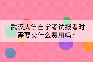 武漢大學(xué)自學(xué)考試報(bào)考時(shí)需要交什么費(fèi)用嗎？