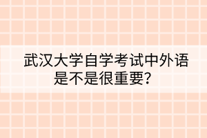 武漢大學自學考試中外語是不是很重要？