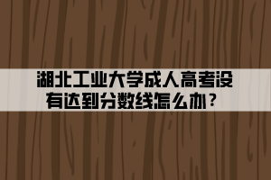 湖北工業(yè)大學(xué)成人高考沒有達到分數(shù)線怎么辦？