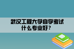 武漢工程大學(xué)自學(xué)考試什么專業(yè)好？