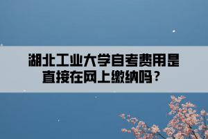 湖北工業(yè)大學(xué)自考費用是直接在網(wǎng)上繳納嗎？