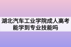 湖北汽車工業(yè)學(xué)院成人高考能學(xué)到專業(yè)技能嗎？