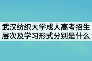 武漢紡織大學成人高考招生層次及學習形式分別是什么