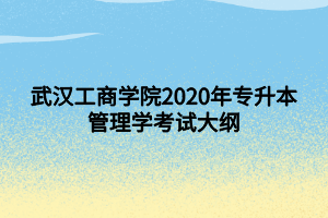 武漢工商學(xué)院2020年專升本管理學(xué)考試大綱