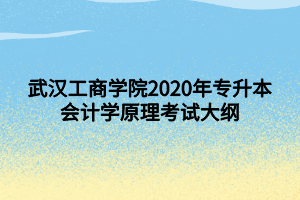 武漢工商學(xué)院2020年專升本會(huì)計(jì)學(xué)原理考試大綱