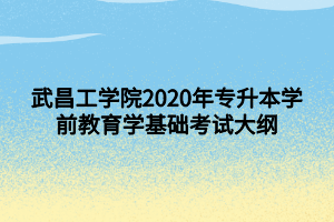 武昌工學(xué)院2020年專升本學(xué)前教育學(xué)基礎(chǔ)考試大綱