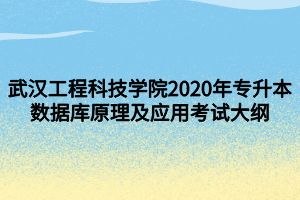 武漢工程科技學院2020年專升本數(shù)據(jù)庫原理及應用考試大綱