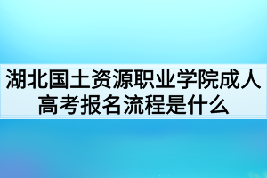 湖北國(guó)土資源職業(yè)學(xué)院成人高考報(bào)名流程是什么