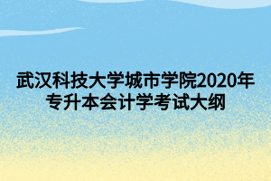 武漢科技大學(xué)城市學(xué)院2020年專升本會(huì)計(jì)學(xué)考試大綱