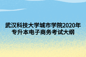 武漢科技大學(xué)城市學(xué)院2020年專升本電子商務(wù)考試大綱