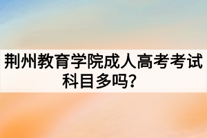 荊州教育學(xué)院成人高考考試科目多嗎？