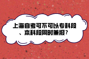 上海自考可不可以?？贫?、本科段同時兼報？