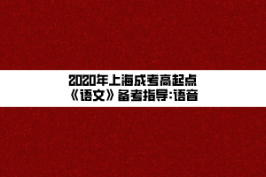 2020年上海成考高起點《語文》備考指導(dǎo)_語音