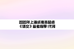 2020年上海成考高起點《語文》備考指導(dǎo)_代詞