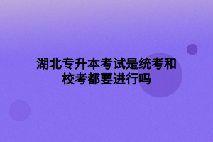 湖北專升本考試是統(tǒng)考和?？级家M(jìn)行嗎