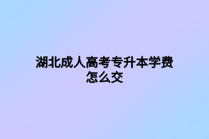 湖北成人高考專升本學費怎么交