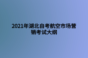 2021年湖北自考航空市場營銷考試大綱