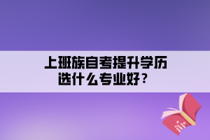 上班族自考提升學(xué)歷選什么專業(yè)好？