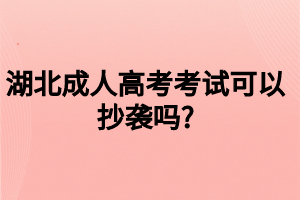 湖北成人高考考試可以抄襲嗎_