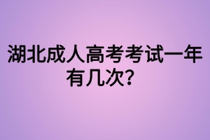 湖北成人高考考試一年有幾次？